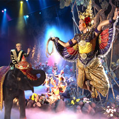 Phuket Explorer